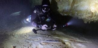 skeleton discovery site