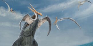 rendering of species