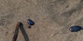 oil on a beach in Veracruz