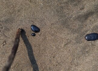 oil on a beach in Veracruz