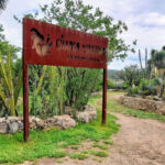 Nature trail in a semi-desert park with a wooden entrance sign that says in Spanish El Charco del Ingenio, jardin botanica. The entrance to the trail is winding and ringed on both sides by stone walls with landscaped cacti of various types.