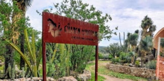 Nature trail in a semi-desert park with a wooden entrance sign that says in Spanish El Charco del Ingenio, jardin botanica. The entrance to the trail is winding and ringed on both sides by stone walls with landscaped cacti of various types.
