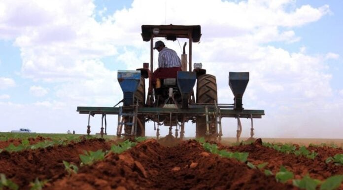 Farmer on tractor in Mexico