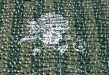 an aerial shot of hundreds of soccer players on an artificial turf set up in Mexico City's Zócalo