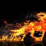 Year of the Fire Horse