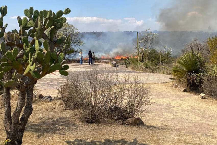 Three people in a semi desert park with cacti landscaping with their backs to the camera, watching a brush fire in front of them in the distance.