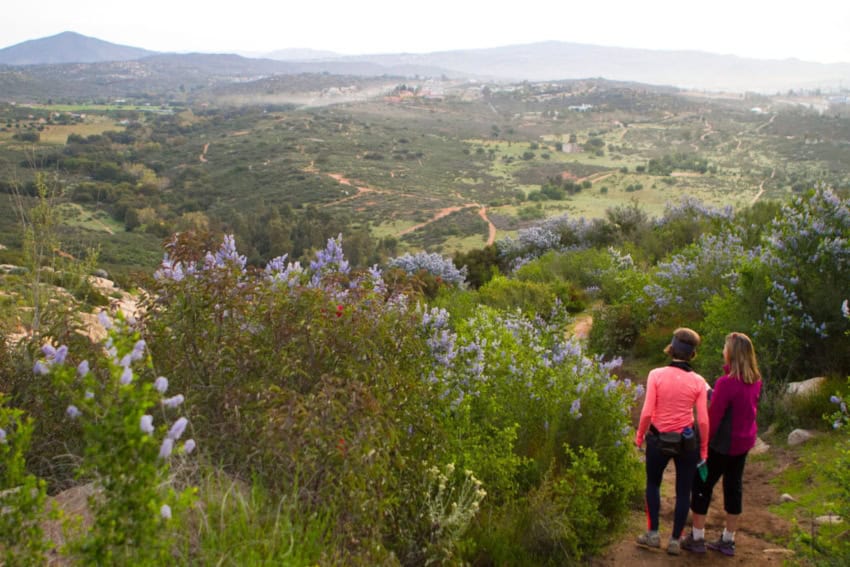 Rancho La Puerta — From US $17.50 a day to one of the world’s greatest destination spas