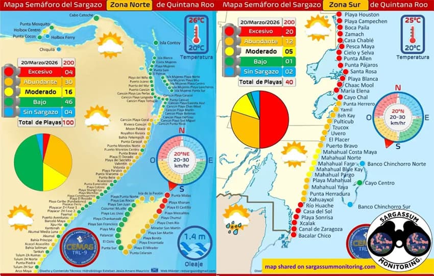 A map of sargassum arrivals in Quintana Roo