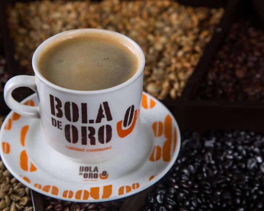 Bola de Oro