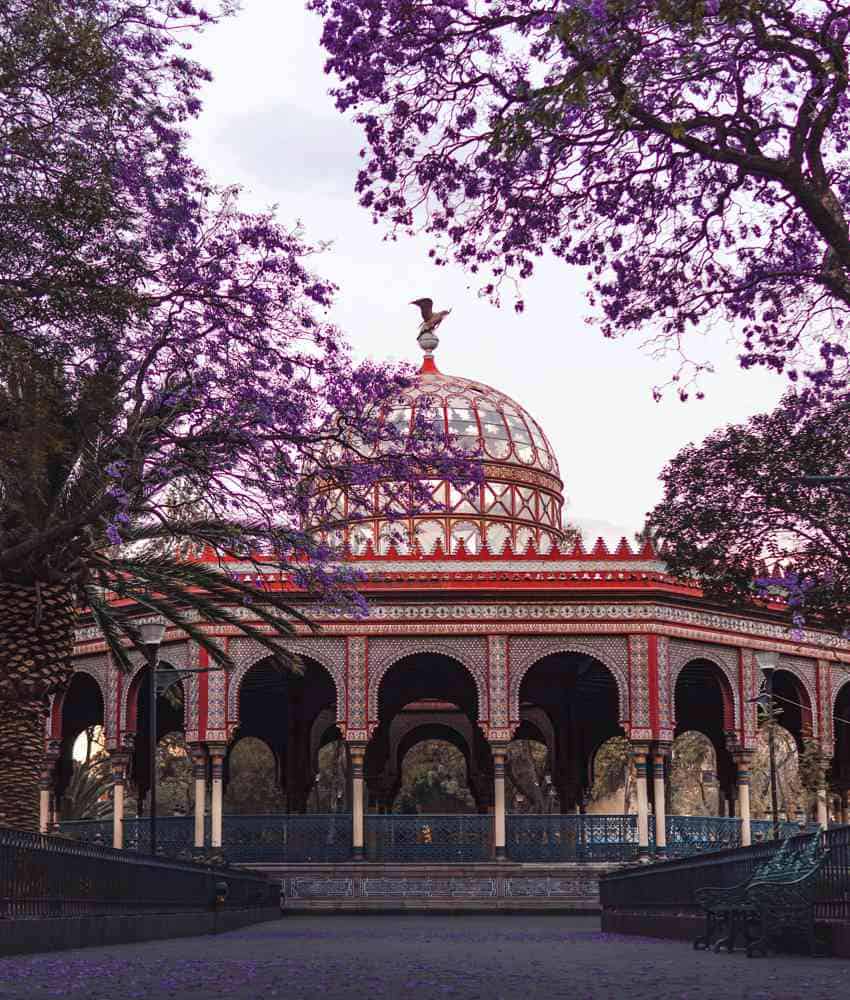 Front view of the Kiosco Morisco in Alameda de Santa Maria La Ribera Park in Mexico City, with a carpet of jacaranda leaves on the cobblestoned path leading up to the Moorish gazebo.