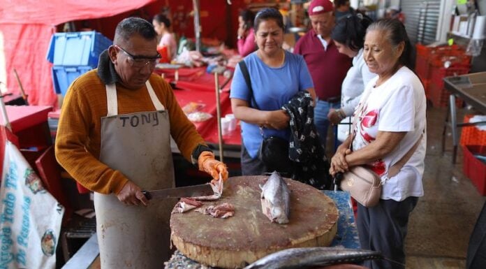CIUDAD DE MÉXICO, 26FEBRERO2026.- Con el inicio de los Viernes de Cuaresma, los precios de pescados y mariscos incrementaron en los puestos del Mercado la Nueva Viga. En la imagen, un vendedor corta un pescado en filetes para su venta.