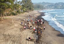 Volunteers clean tar from a Veracruz beach