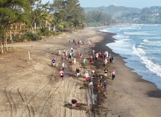 Volunteers clean tar from a Veracruz beach