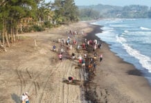 Veracruz beach with tar