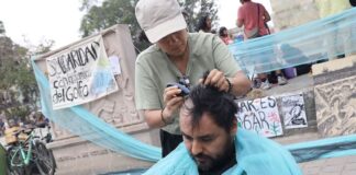 Hair for the gulf
