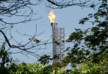 A large gas flare visible through trees at Olmeca Refinery in Dos Bocas, Tabasco.