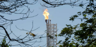 A large gas flare visible through trees at Olmeca Refinery in Dos Bocas, Tabasco.