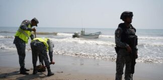 oil spill cleanup on Gulf beach