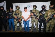 "El Jardinero" surrounded by Mexican naval special forces
