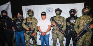 "El Jardinero" surrounded by Mexican naval special forces