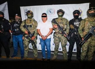 "El Jardinero" surrounded by Mexican naval special forces