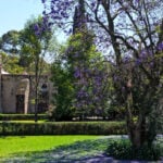 Museo Dolores Olmedo