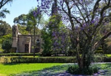 Museo Dolores Olmedo