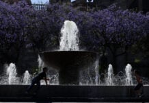 Children in silhouette playing on a bright day by a fountain in the historic center of Guadalajara, Mexico.