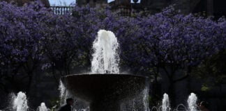 Children in silhouette playing on a bright day by a fountain in the historic center of Guadalajara, Mexico.