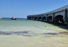 oil slick near Puerto Progreso, Yucatán
