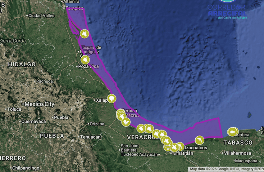 map of oil hotspots gulf coast