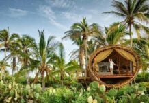 Playa Viva treehouse