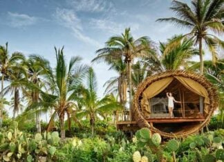 Playa Viva treehouse