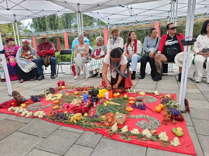 Xochimilco chinampa produce