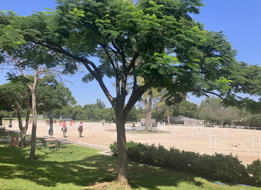 Equestrian ring at GCC