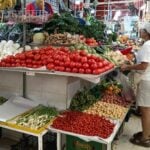 vegetables