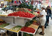 vegetables