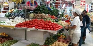 vegetables