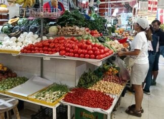 vegetables