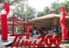 tim hortons fundidora park