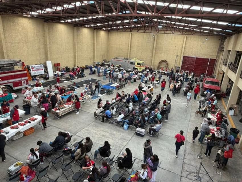 Mass dog and cat sterilization clinics in San Miguel de Allende