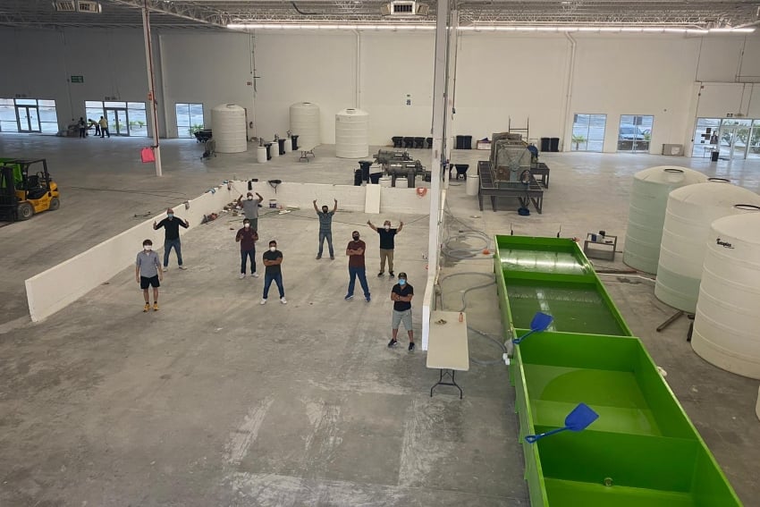 Carbonwave facility in Puerto Morelos