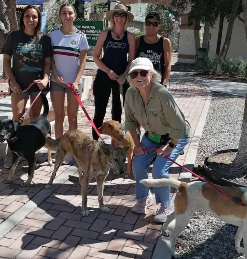 Volunteer dog walkers in San Miguel de Allende community roundup