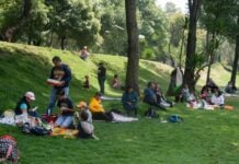 picnic spots in Mexico City