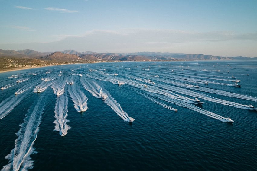 MND Local: Summer fishing tournaments around the Baja California peninsula