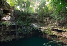 A Yucatán cenote