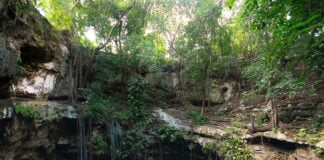 A Yucatán cenote