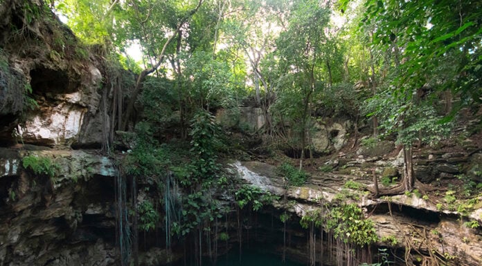 A Yucatán cenote