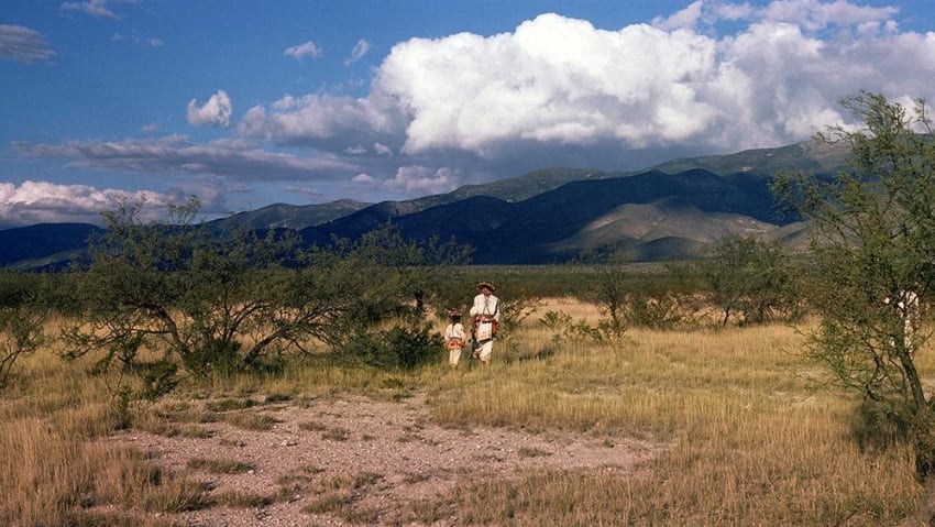 Wixárika people in Wirikuta