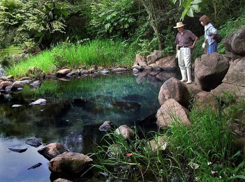 Teuchitlán River in Jalisc